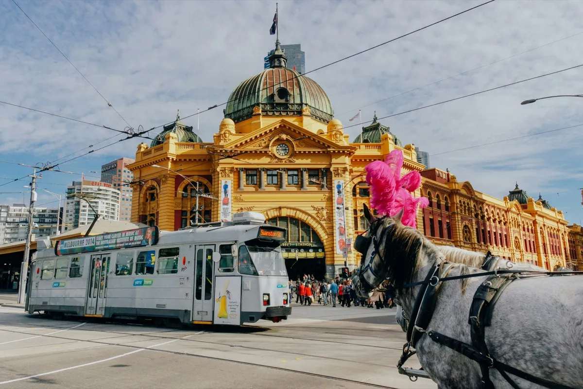 A tram passes the historic yellow Flinders Street Station in Melbourne, with a plumed carriage horse in the foreground.